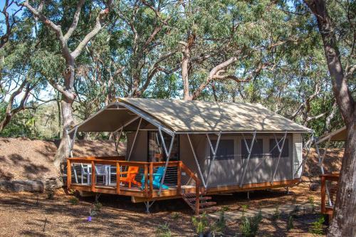 Port Stephens Koala Sanctuary