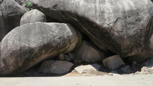 Apartamento Arcadia Palms Unit 2