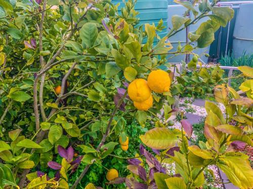 Casa de Praia Coffin Bay