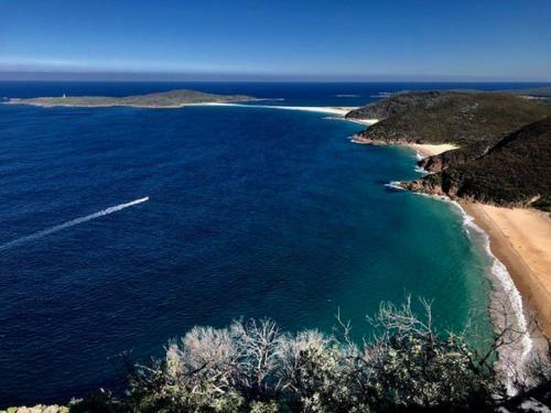 Aquamarine At Fingal Bay