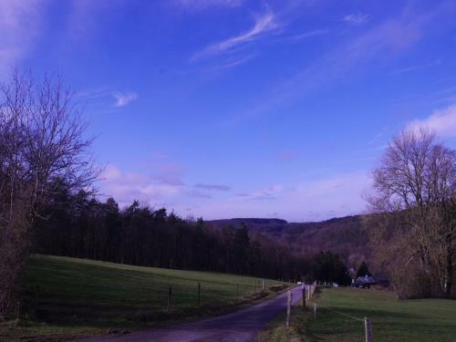 Serene Holiday Home In Aywaille With Jacuzzi, Pool