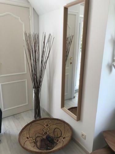 Bed & Breakfast Boslucht Leuven