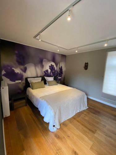 B&B Het Doctershoes