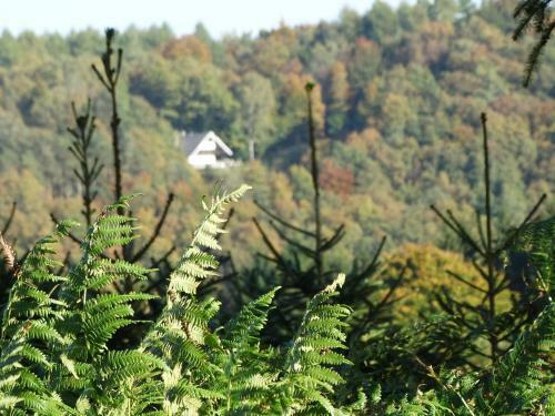 Spacious Holiday Home In Mont With Garden