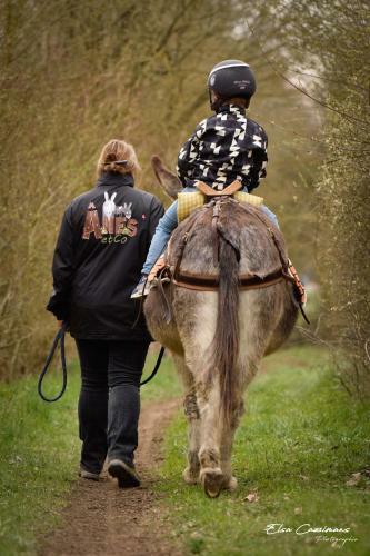 Le Fenil Aux �nes
