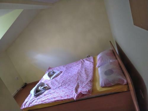 Hotel Pri Mecho