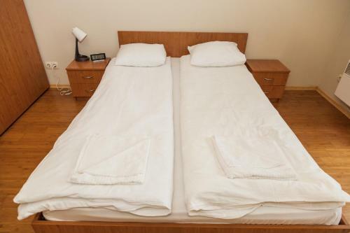 Vitosha Business & Ski Apartment 2