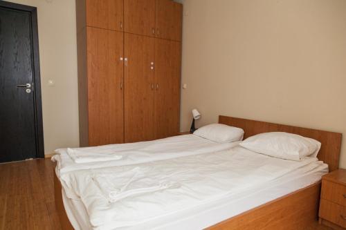 Vitosha Business & Ski Apartment 2