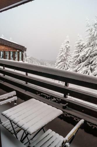 Hotel And Spa Moreni