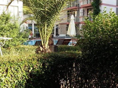 Hotel Menada Lux - Tarsis
