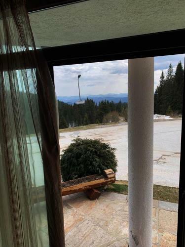 Hostal ???? Forest Nook