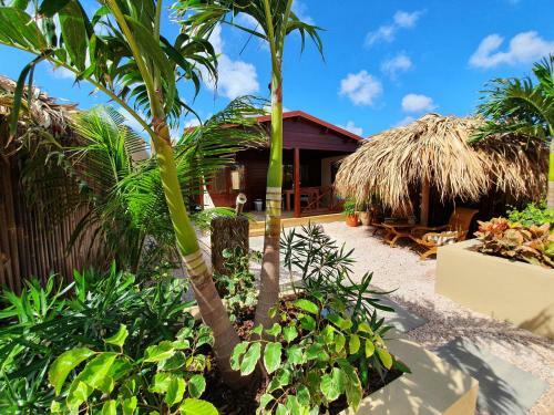 Bamboo Bonaire Boutique Resort