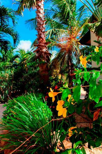 Hostal Goood Resort