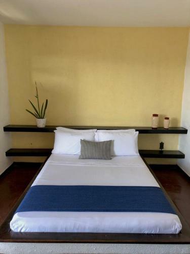 Albergue Vibe House Arraial