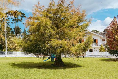 White House - Sofistica��o Em Campos Do Jord�o