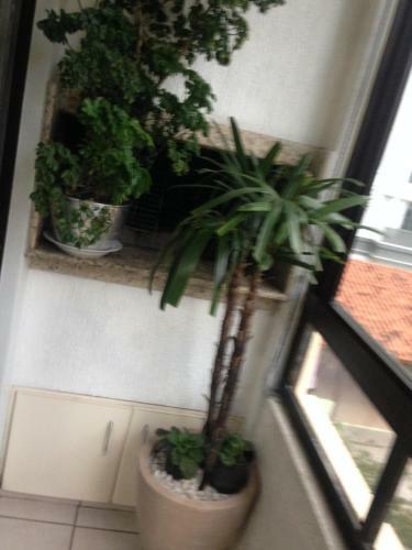Apartamento Jurere