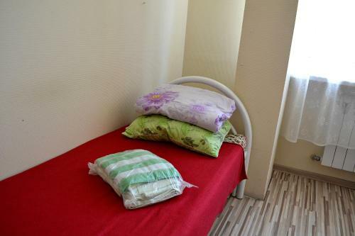 Romashka Hostel