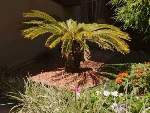 Apartamento Locar-in Gramado Monte Cervino I