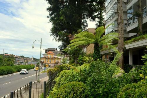 Apartamento Locar-in Gramado Homelland - 204
