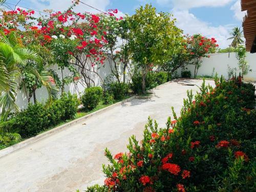 Hostal Pousada Luz