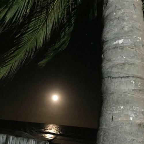Parador Algaroba