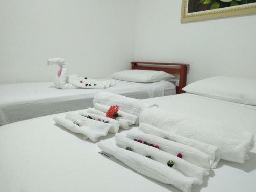 Hostal Thematic Pousada