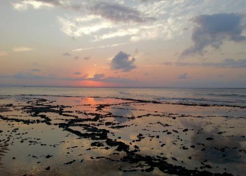 Hostal Luar Do Le�o Bungalow