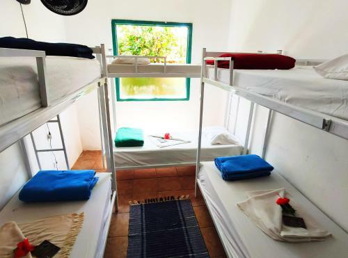 Ca� Brasil Hostel