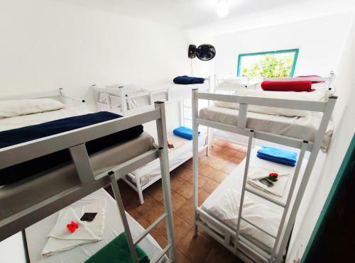 Ca� Brasil Hostel