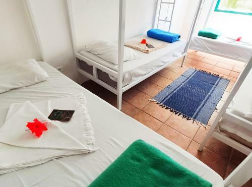 Ca� Brasil Hostel