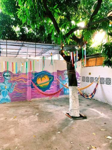 Camping Debaixo Do P� De Manga