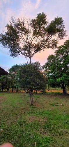 Hostal Sitio Vilela - Inhotim Hospedagem E Translado