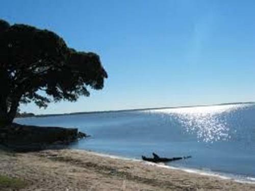 Apartamento Laguna Alugu�is