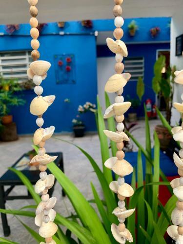 Kaleidosc�pio Hostel