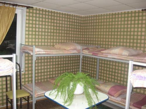 Zhit Khorosho Hostel