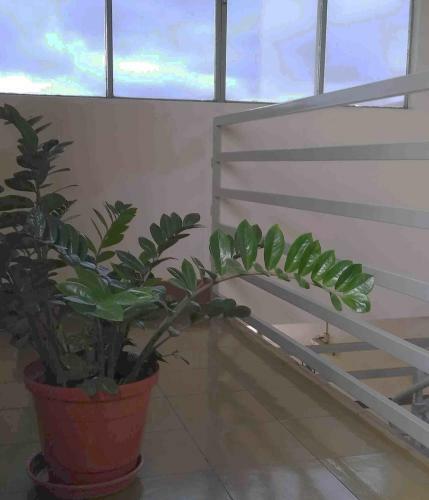 Hotel Vapabu�u