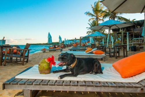 Hostal Travel Inn Trancoso Su�tes
