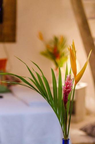 Hospedaria Da Elma Trancoso