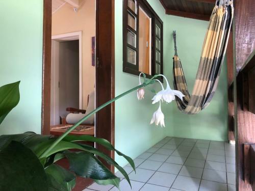 Dax Bombinhas Hostel