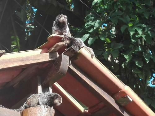 Bela Ip� Pousada Hostel Apart