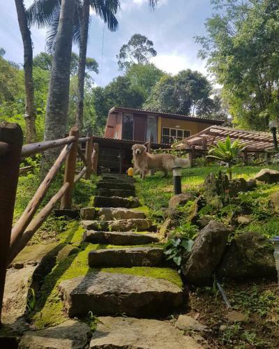 Hostal Espa�o Viverde Penedo