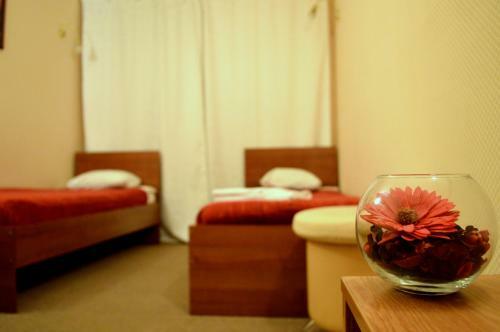 Bed & Breakfast Pushkin Hotel