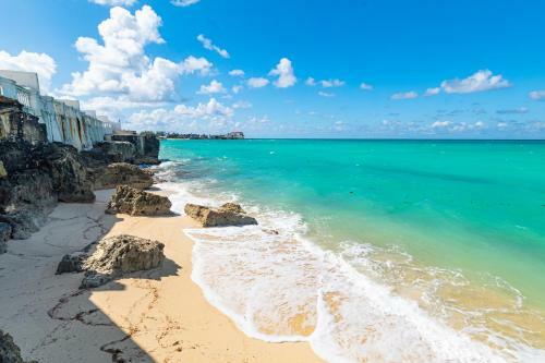 Apartamento Studio 7 , Oceanfront