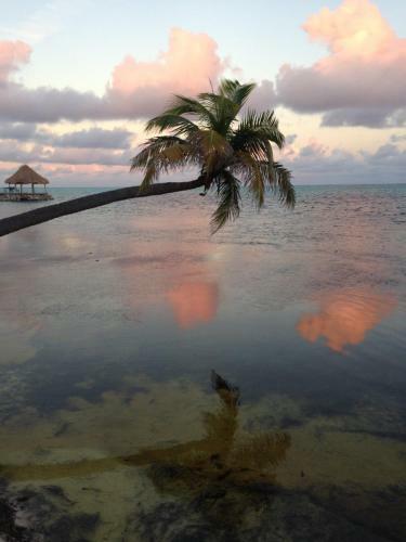 Villa Casa Rana Belize