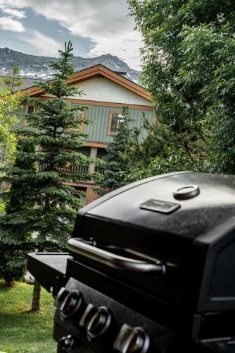 Pinnacle Ridge Ferniedirect