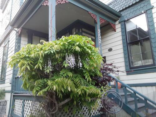 Hostal Sea Birds Cottage