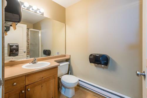 Apartamento Silver Fox