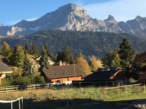 Apartamento Chalet Le Slalom