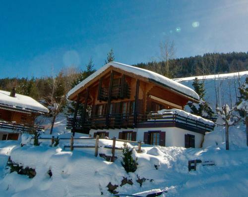 Chalet Lisa Ski-in, Ski-out Well Equipped