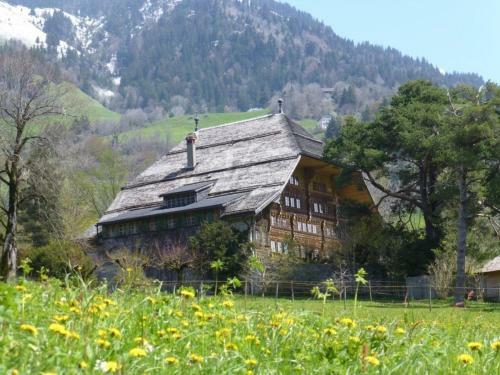 Luxury Alpine Apartment